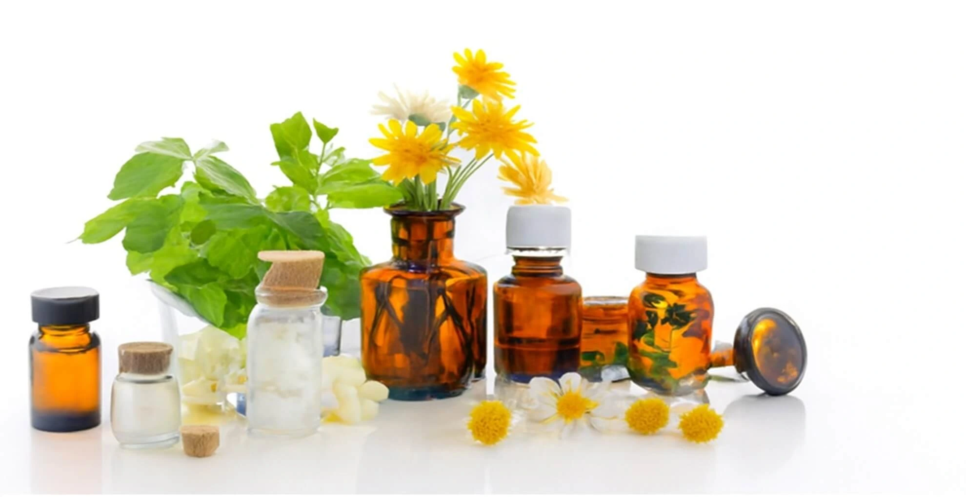 Dr Abinash Sharma Homeopathy Clinic exterior, Pathankot