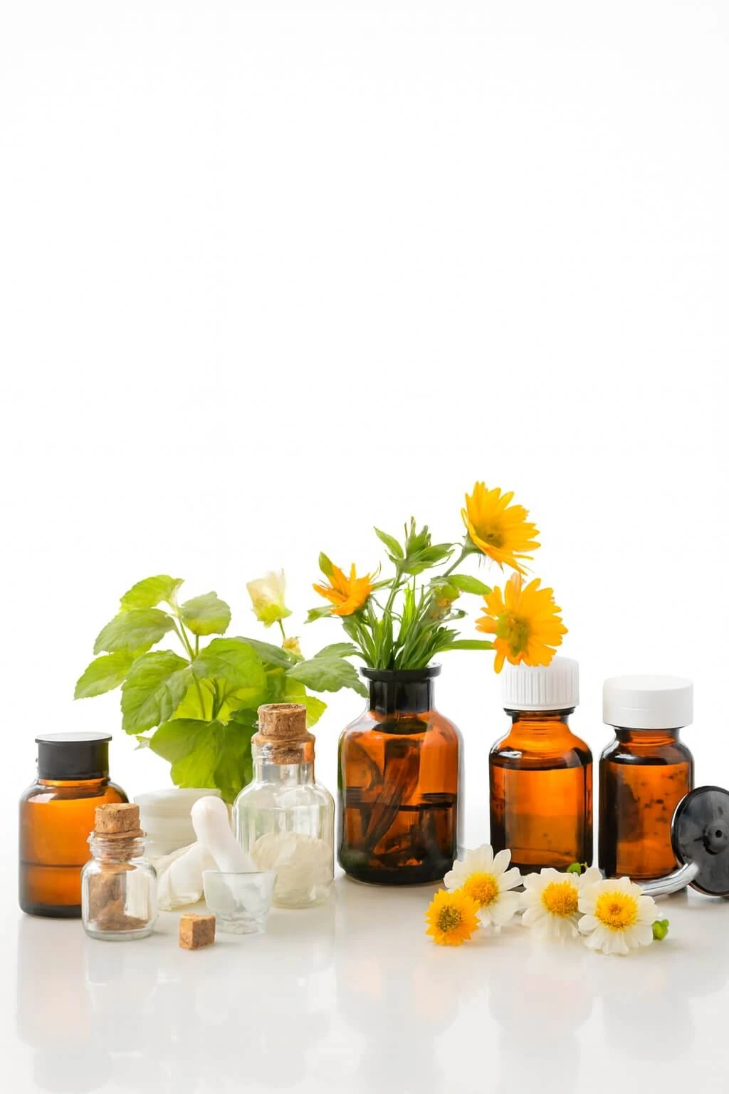 Homeopathy consultation room in Pathankot clinic