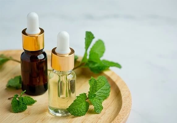 Clean and hygienic homeopathy clinic interior, Pathankot